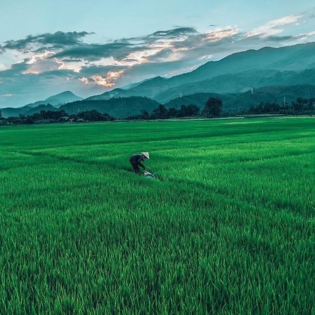 Hoi An Paddy House Homestay Luaran gambar