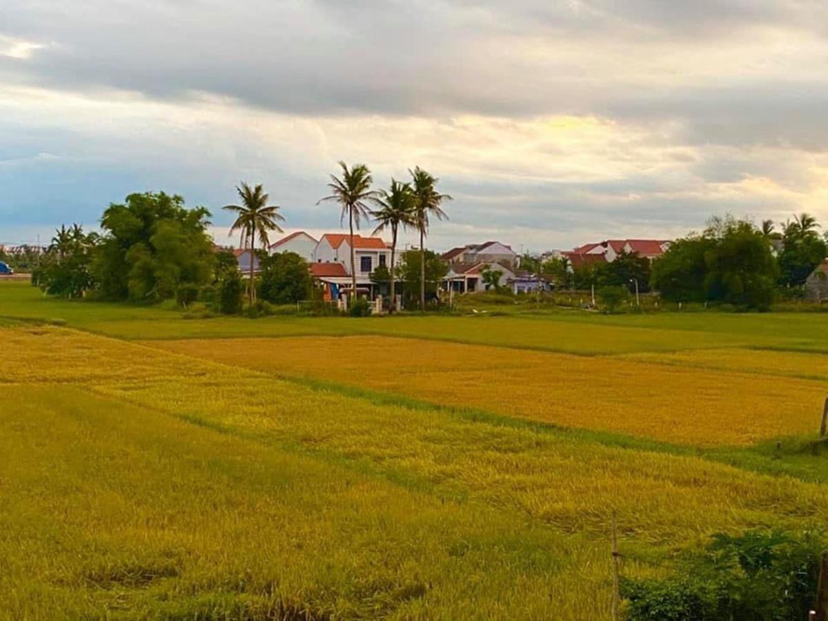 Hoi An Paddy House Homestay Luaran gambar
